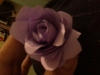 PAPER ROSES